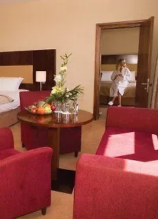 Castle Hotel Trim